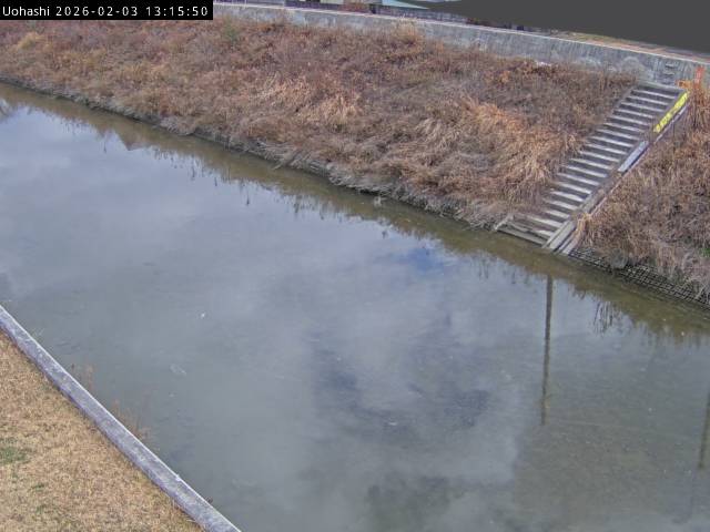 最新監視カメラ画像