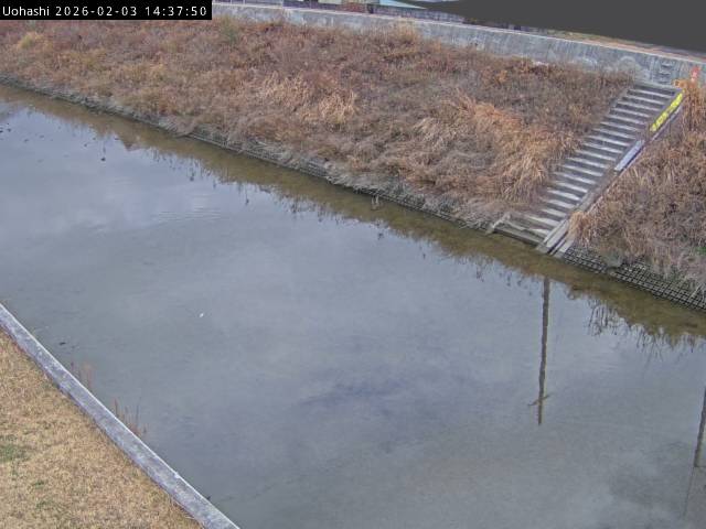 最新監視カメラ画像