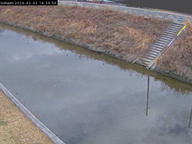 最新監視カメラ画像