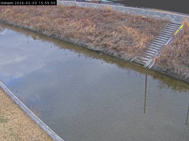 最新監視カメラ画像