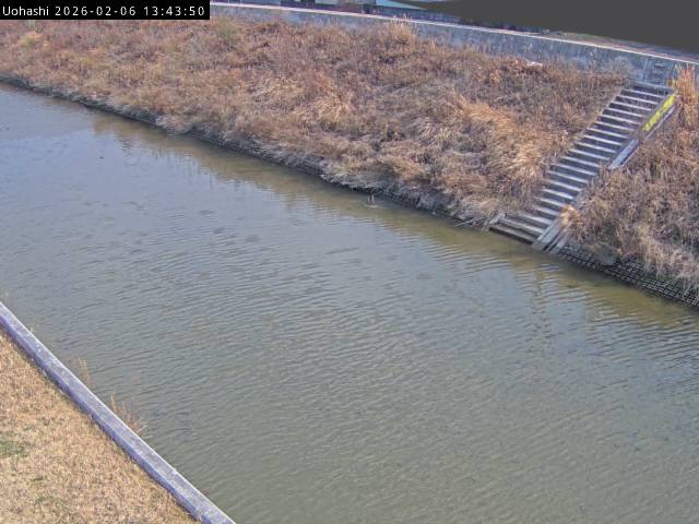 最新監視カメラ画像