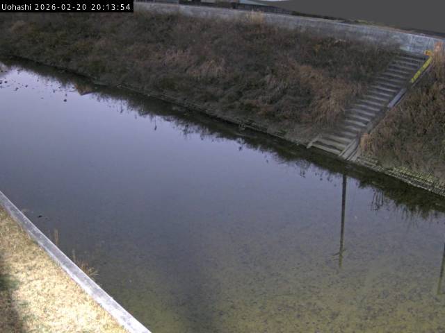 最新監視カメラ画像