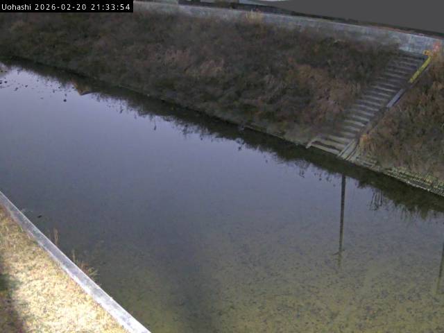 最新監視カメラ画像