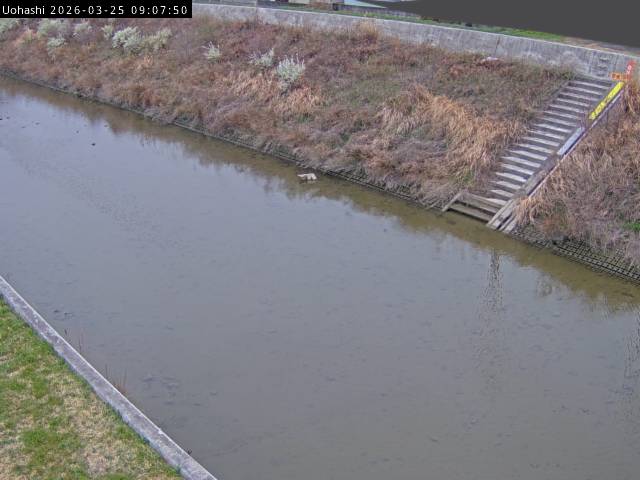 最新監視カメラ画像