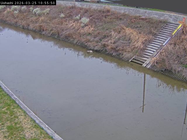 最新監視カメラ画像