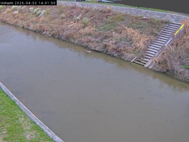 最新監視カメラ画像