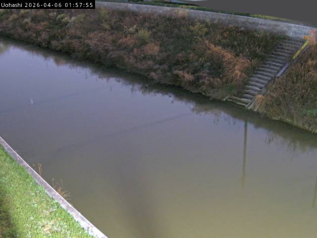 最新監視カメラ画像