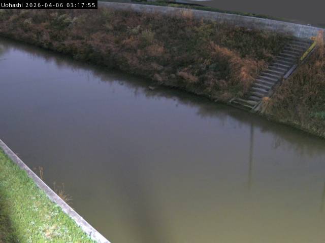 最新監視カメラ画像