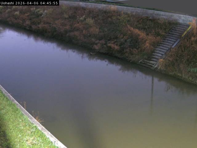 最新監視カメラ画像