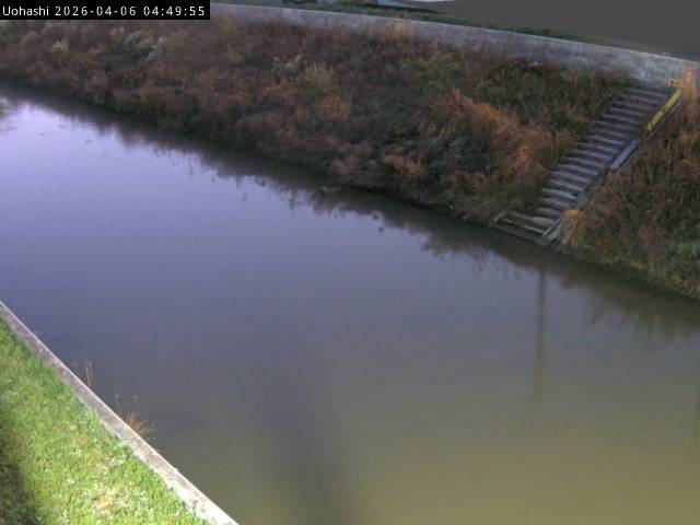 最新監視カメラ画像