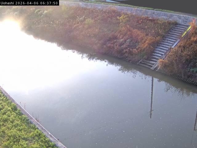 最新監視カメラ画像