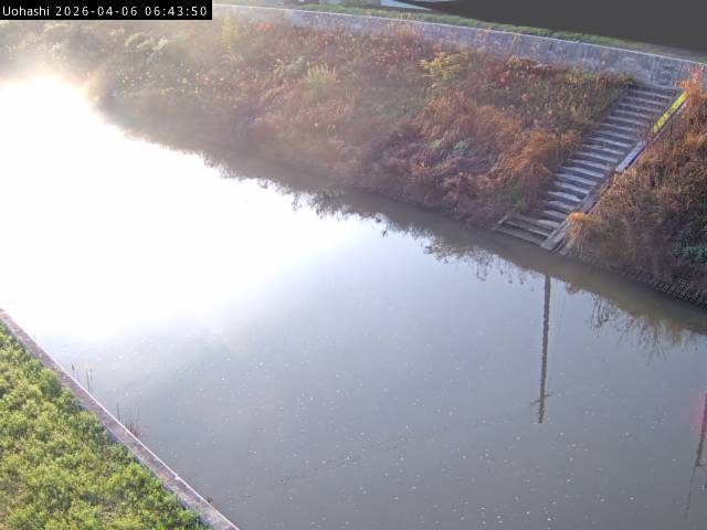 最新監視カメラ画像