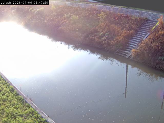 最新監視カメラ画像