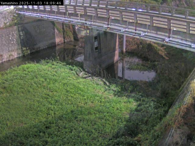 最新監視カメラ画像