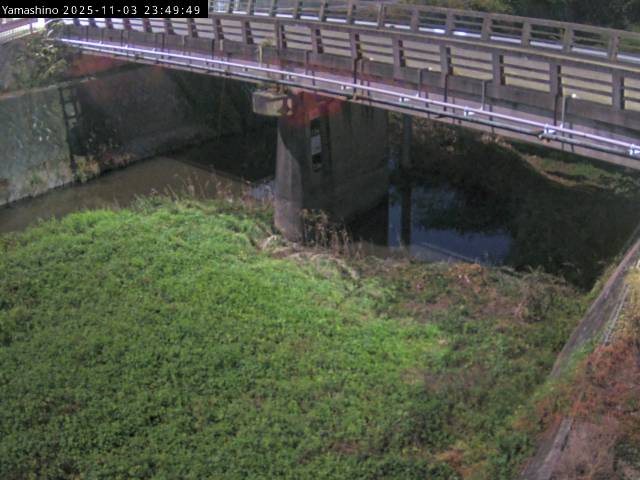 最新監視カメラ画像