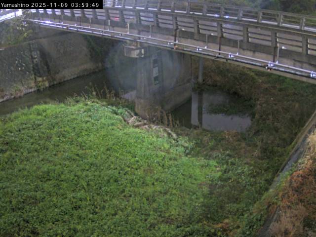 最新監視カメラ画像