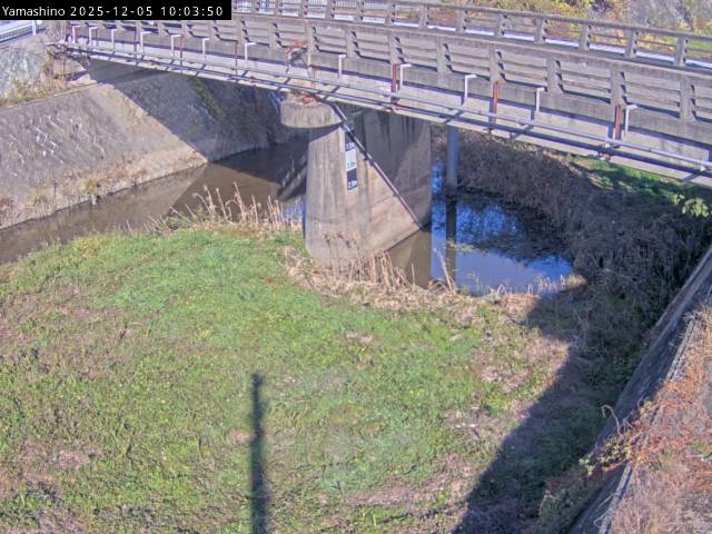 最新監視カメラ画像