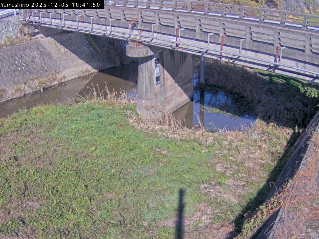 最新監視カメラ画像