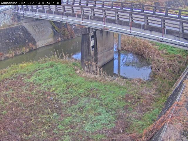 最新監視カメラ画像