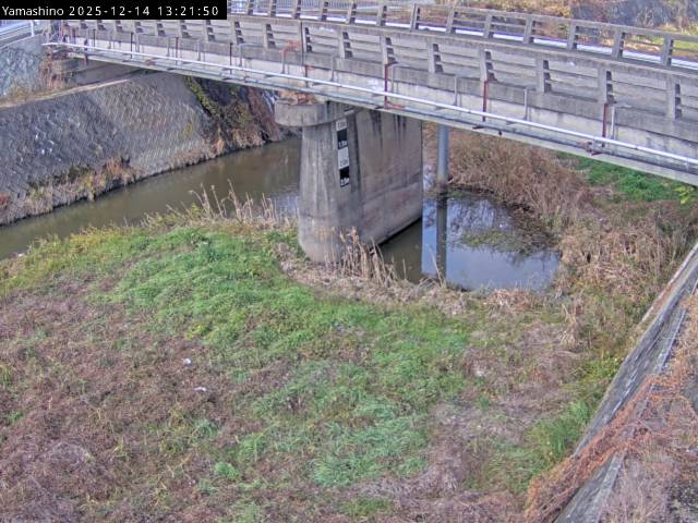 最新監視カメラ画像