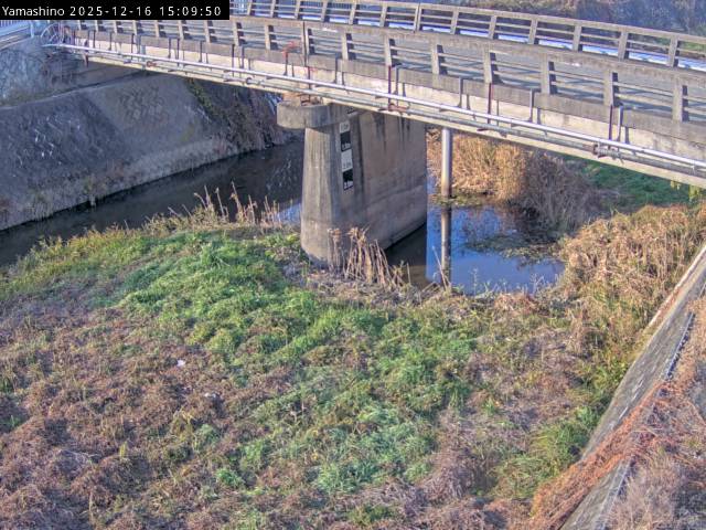 最新監視カメラ画像