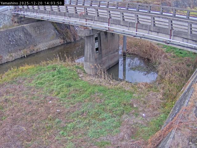 最新監視カメラ画像