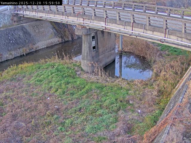 最新監視カメラ画像