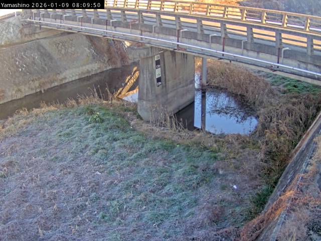 最新監視カメラ画像