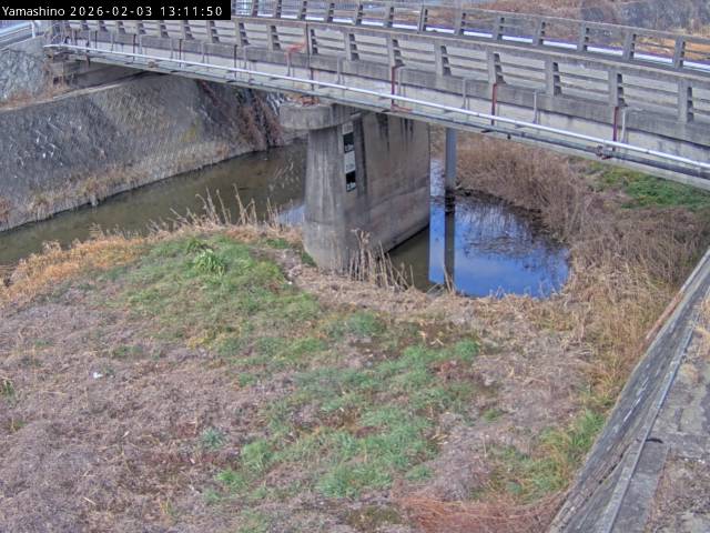 最新監視カメラ画像