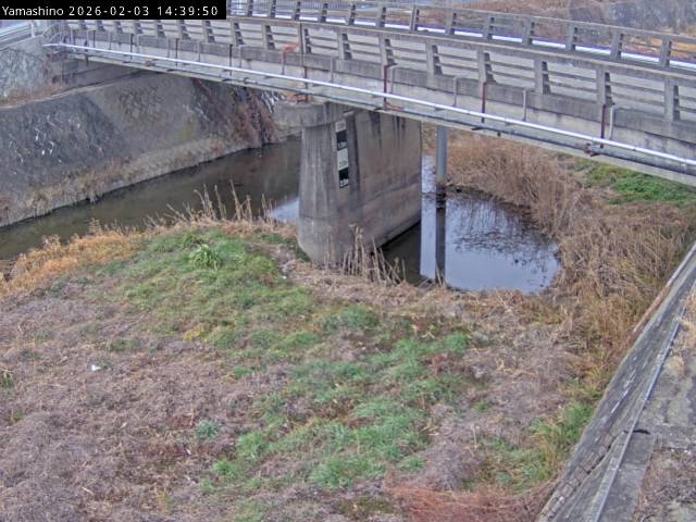 最新監視カメラ画像