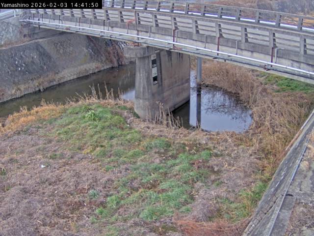 最新監視カメラ画像