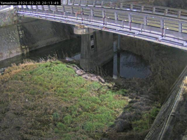 最新監視カメラ画像