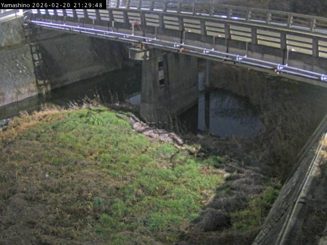 最新監視カメラ画像