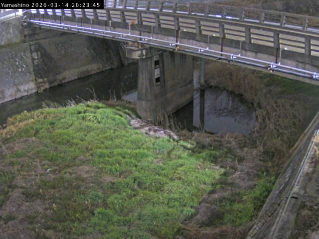 最新監視カメラ画像