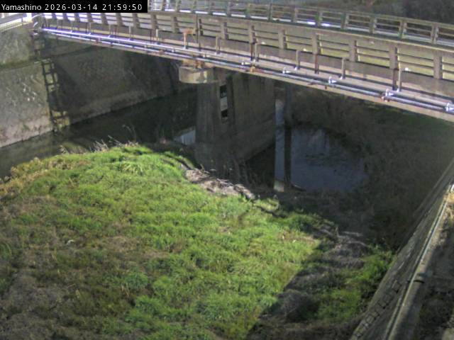 最新監視カメラ画像