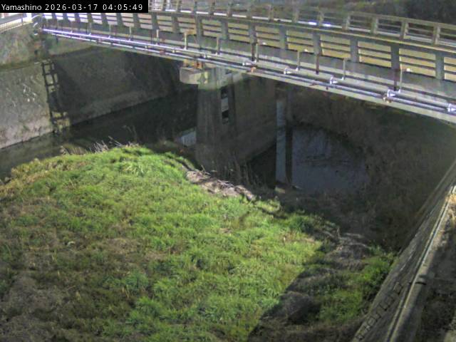 最新監視カメラ画像