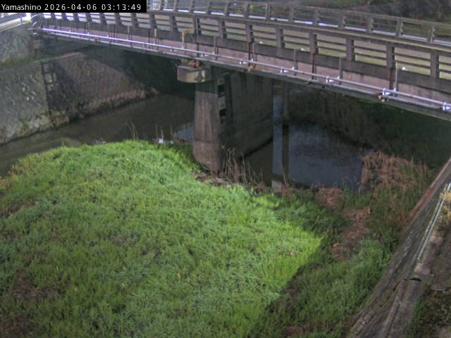 最新監視カメラ画像