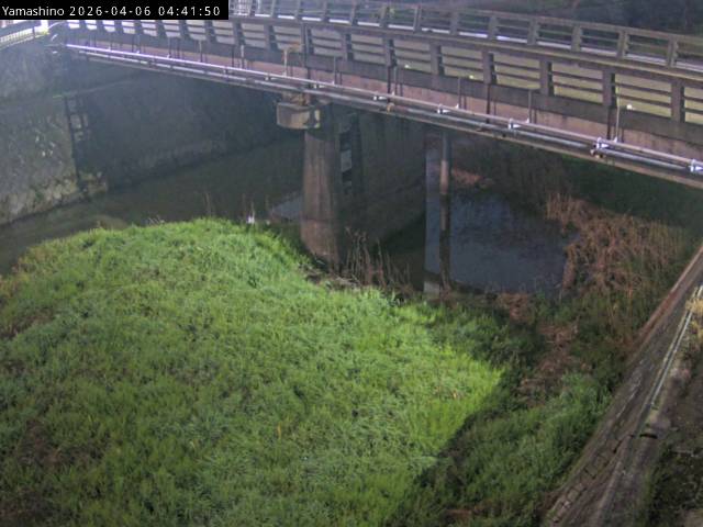 最新監視カメラ画像