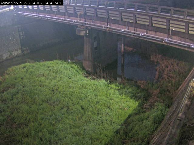 最新監視カメラ画像