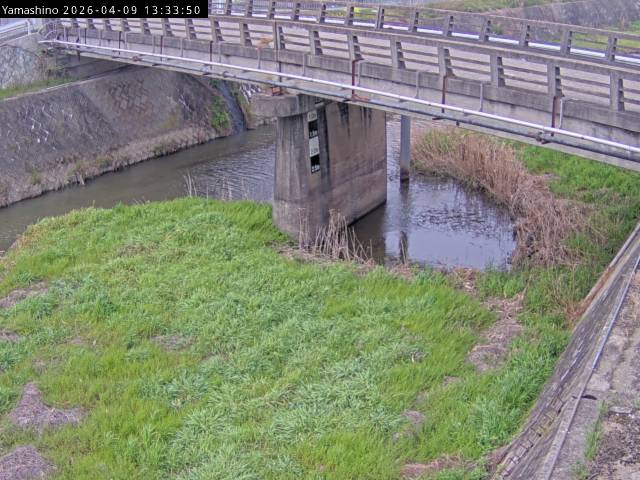 最新監視カメラ画像