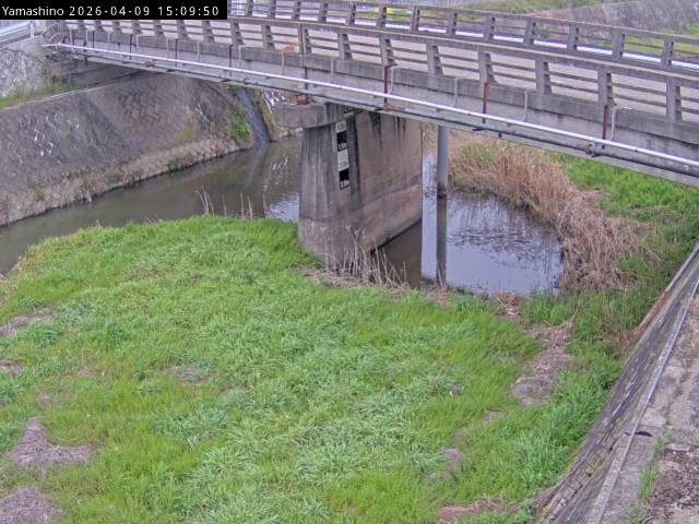 最新監視カメラ画像