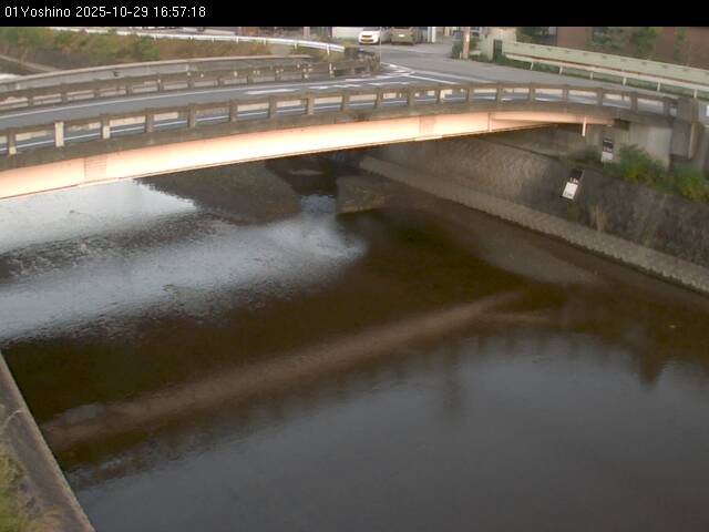 最新監視カメラ画像