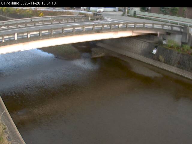 最新監視カメラ画像