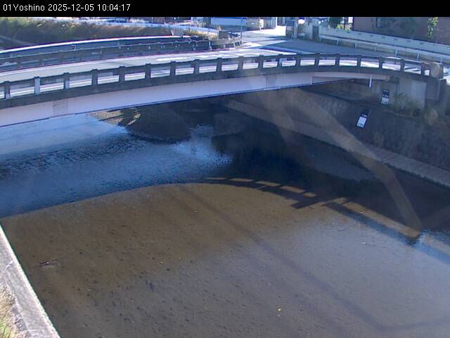 最新監視カメラ画像