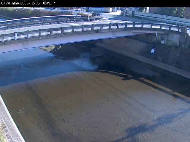 最新監視カメラ画像