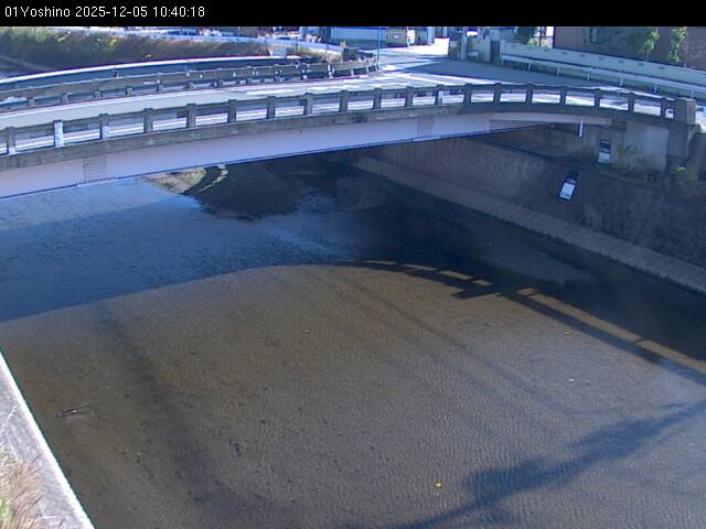 最新監視カメラ画像