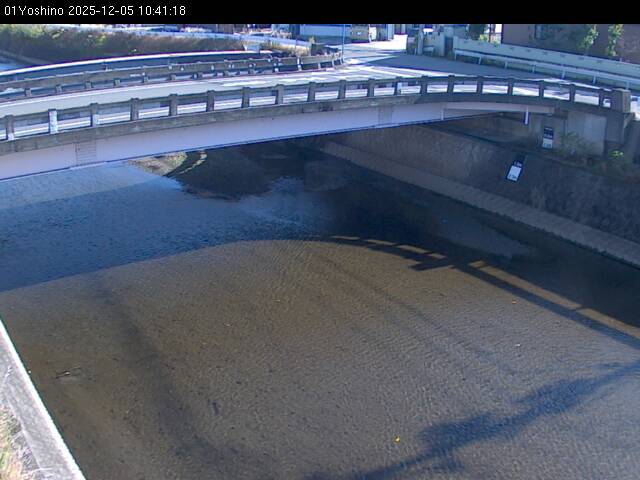 最新監視カメラ画像