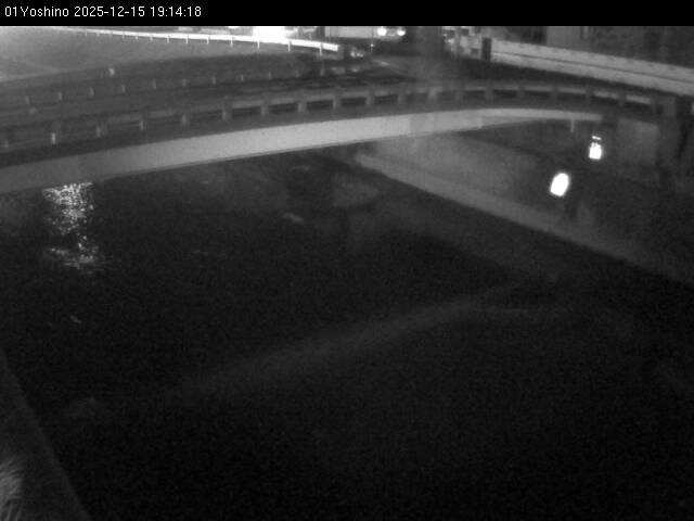 最新監視カメラ画像