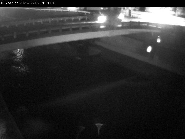 最新監視カメラ画像