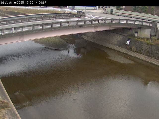 最新監視カメラ画像